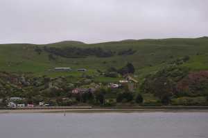 HARINGTON-POINT-DUNEDIN (15)